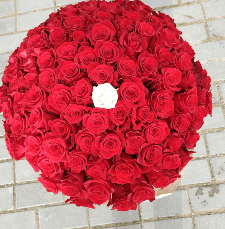 101 rosa